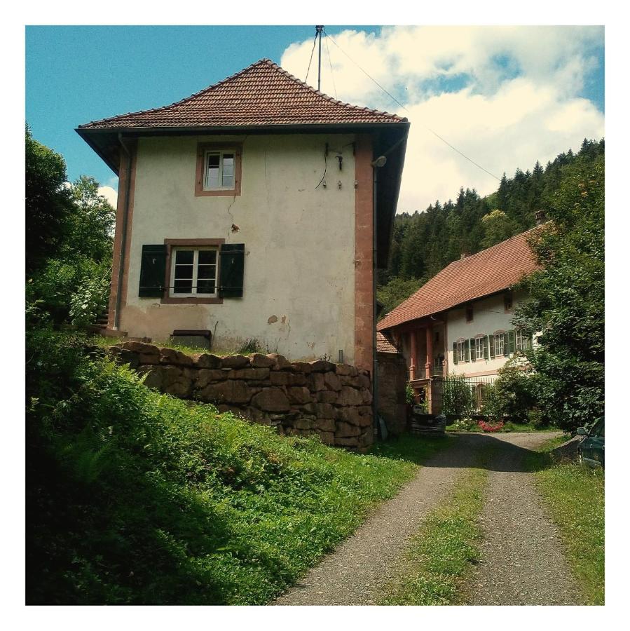 La Demeure Des Forges Grandfontaine (Bas-Rhin) Exterior foto