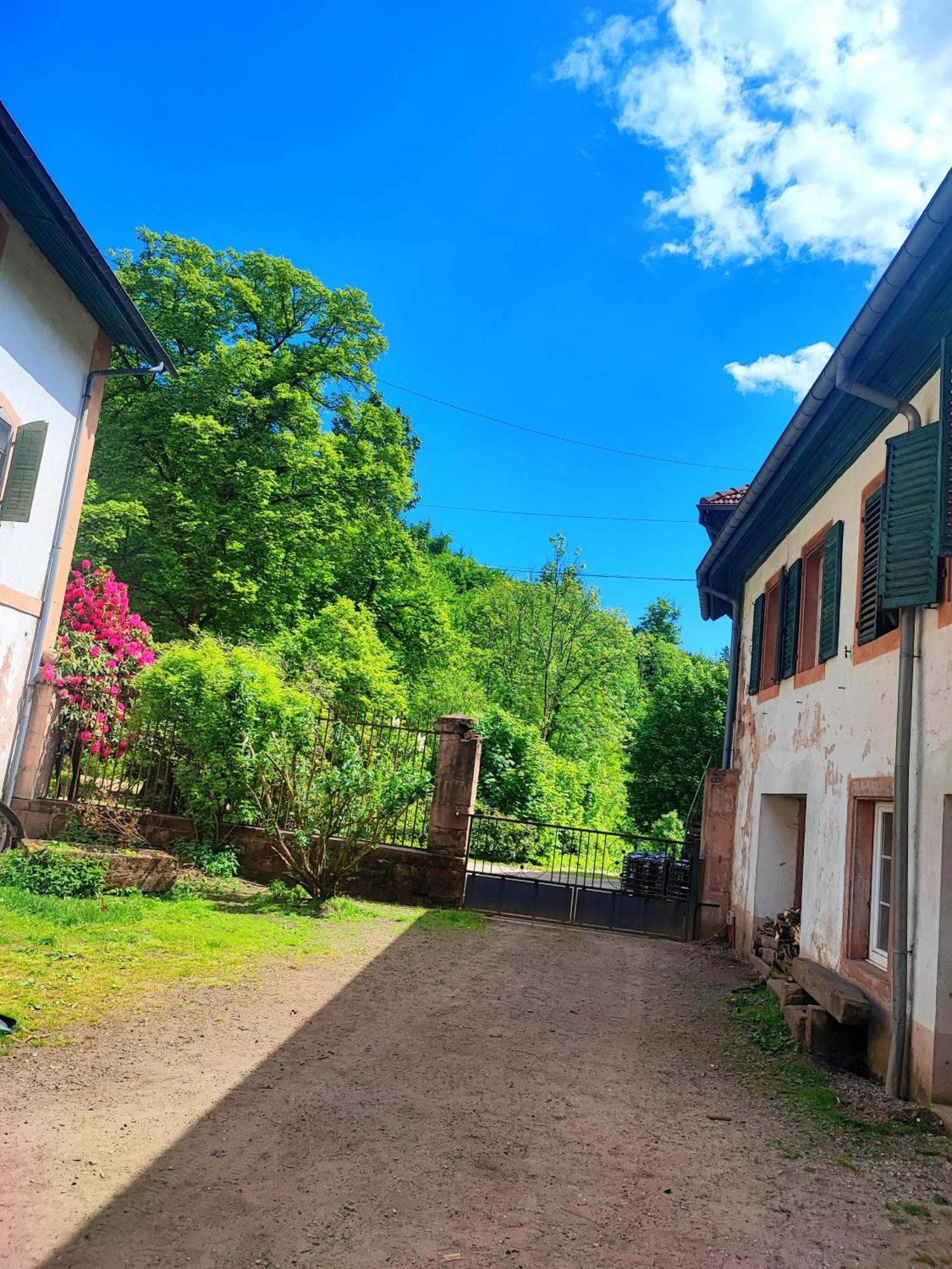 La Demeure Des Forges Grandfontaine (Bas-Rhin) Exterior foto