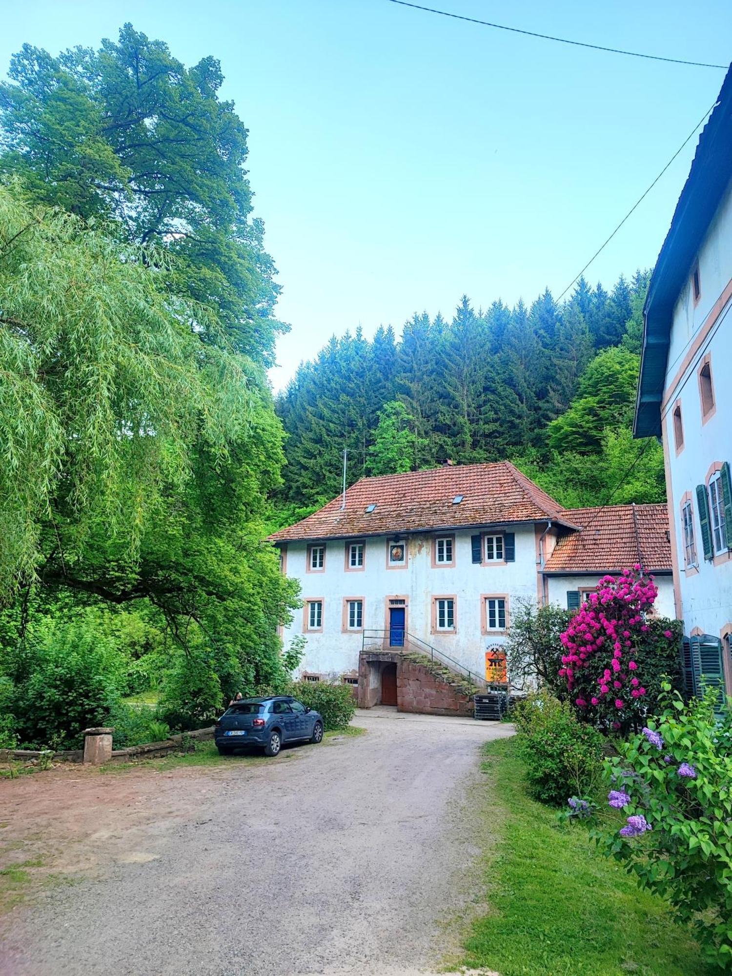 La Demeure Des Forges Grandfontaine (Bas-Rhin) Exterior foto