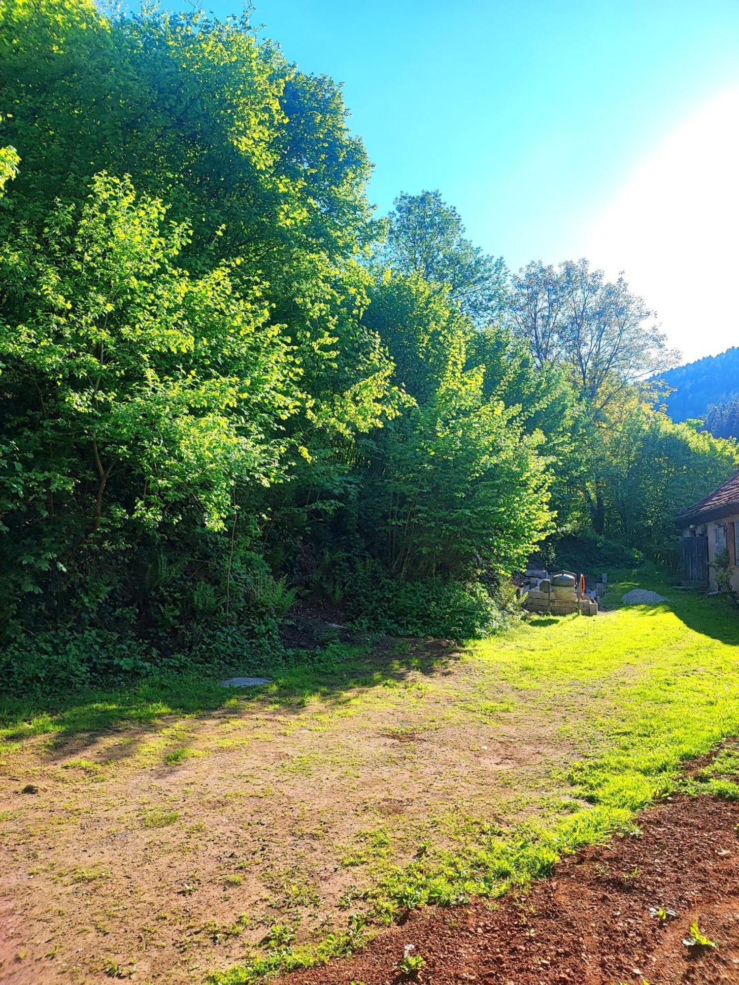 La Demeure Des Forges Grandfontaine (Bas-Rhin) Exterior foto