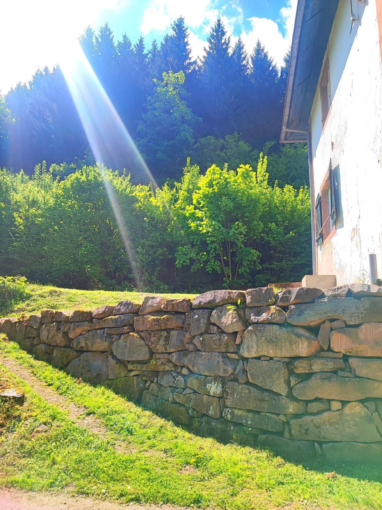 La Demeure Des Forges Grandfontaine (Bas-Rhin) Exterior foto