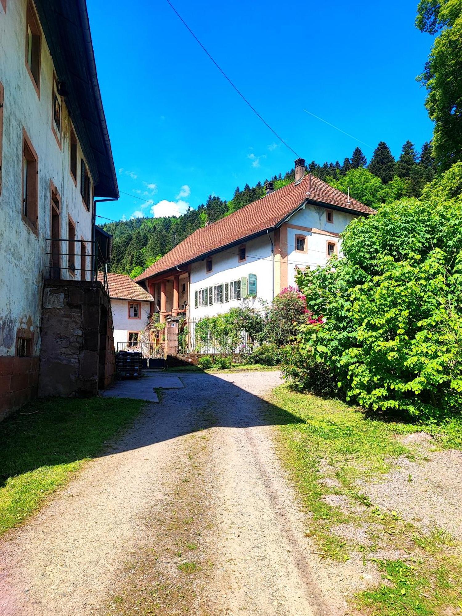 La Demeure Des Forges Grandfontaine (Bas-Rhin) Exterior foto