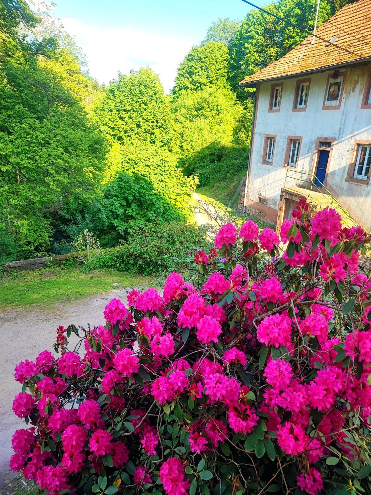 La Demeure Des Forges Grandfontaine (Bas-Rhin) Exterior foto