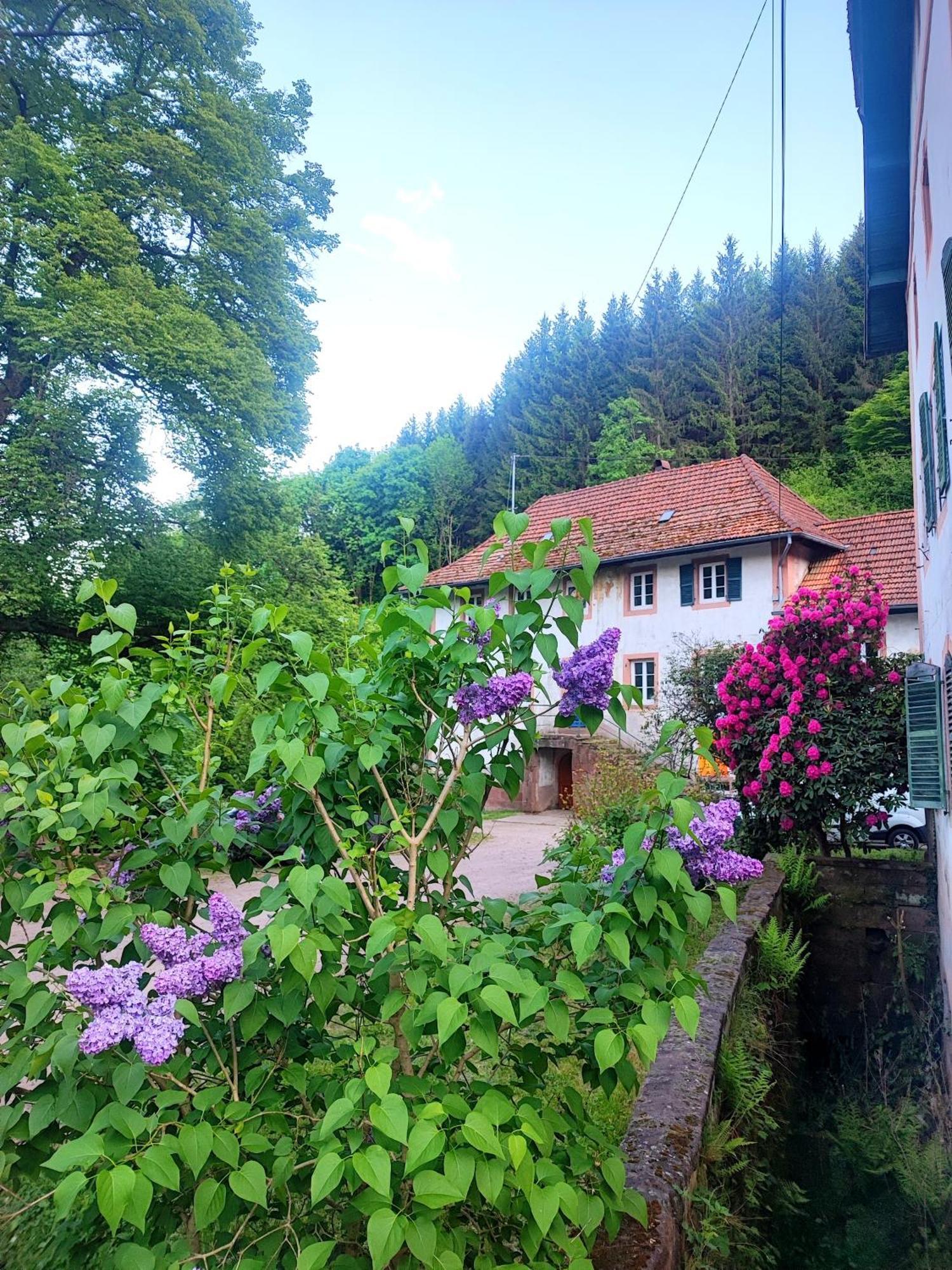 La Demeure Des Forges Grandfontaine (Bas-Rhin) Exterior foto